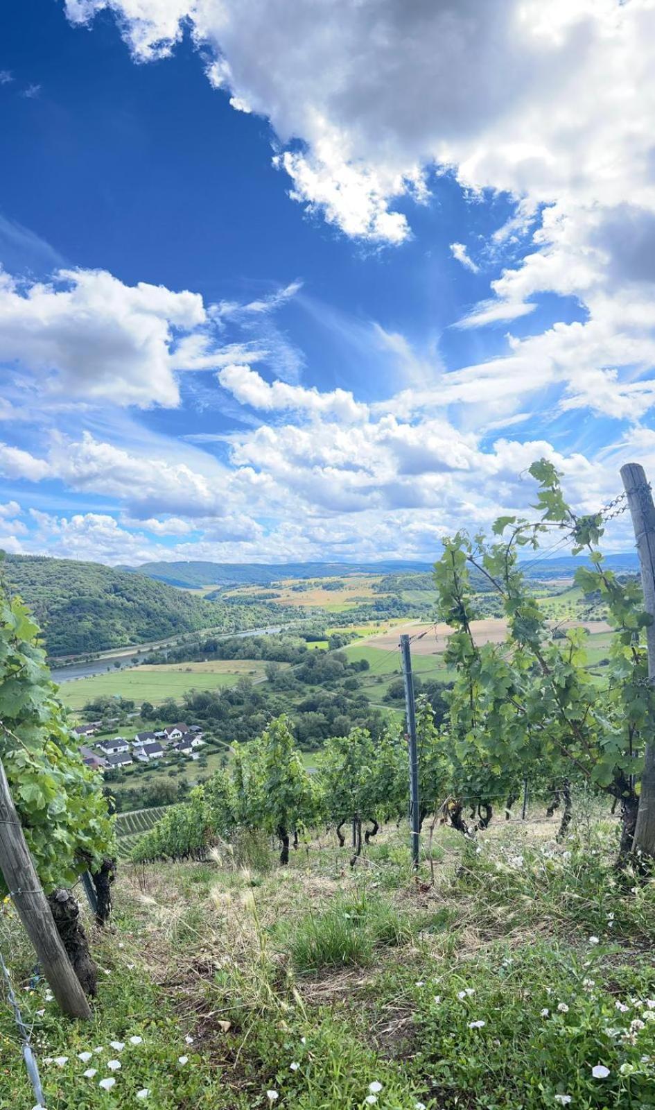 Ferienwohnungen Im Kimmelreich Irsch Екстер'єр фото